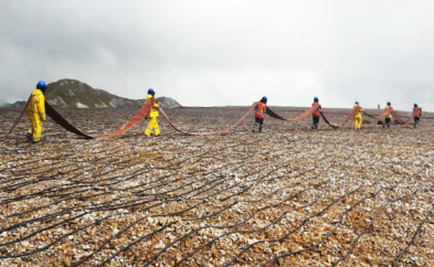 instalacion de sistemas de riego